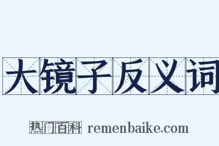大镜子反义词是什么意思的图片